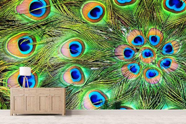 

self-adhesive] 3d peacock feather 6246 wall paper mural wall print decal murals
