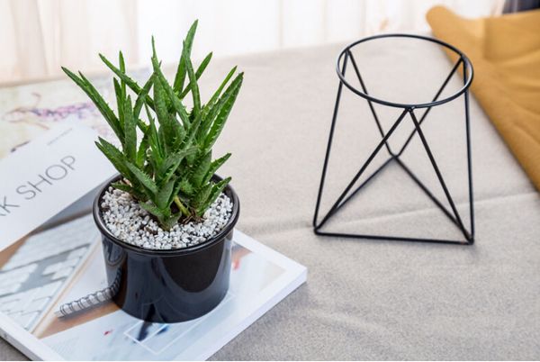 

deskdecoration nordic fleshy flower pot wrought iron vase simple iron frame flower stand ceramic hydroponic flower pot