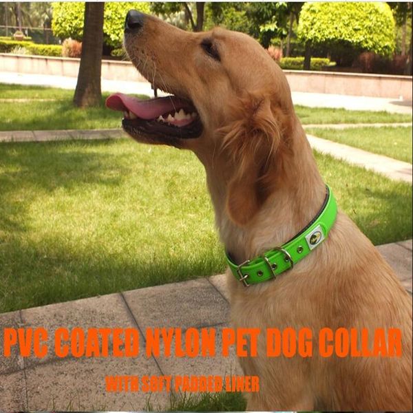 

пѬовоѬне домание живоне оейники дл обак мгкий ѬегђлиѬђемй воѬоник из п