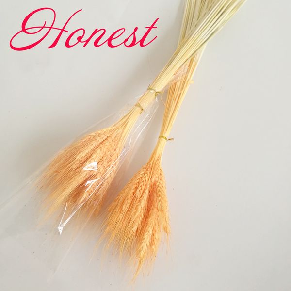 

100pc natural orange color dried ear of wheat bouquets&orange color wheat ear bunches