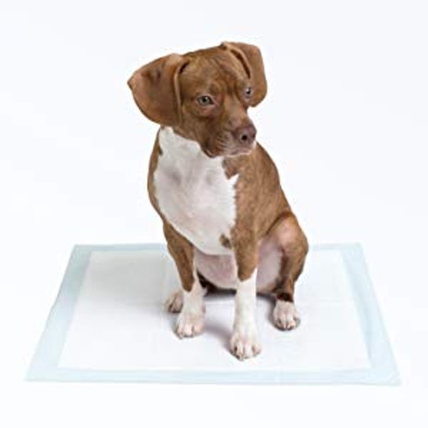 

pet обучения и щенок колодки для pottydog пописать pad дрессировки собак кошки, обычный размер m супер абсорбент leak-free