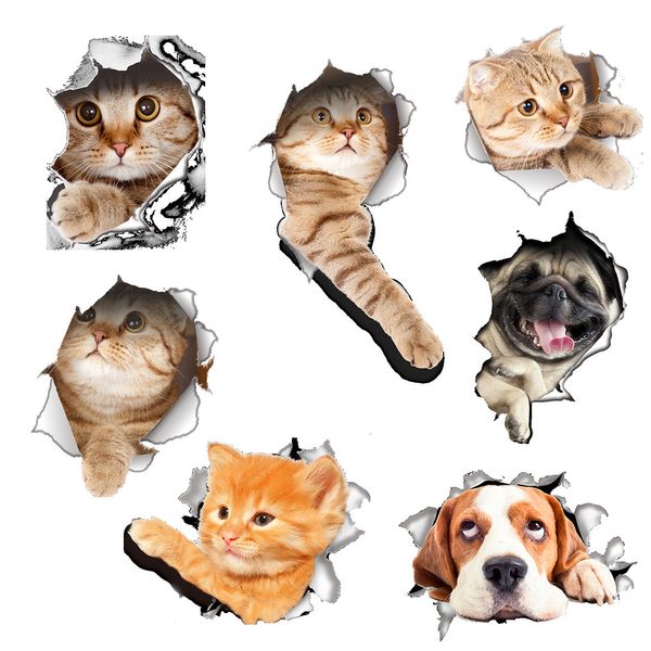 

Hole View Vivid Cats 3D Wall Sticker Bathroom Toilet Living Room Decoration Animal Vinyl Decals Art Sticker Wall Poster