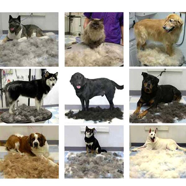 

professional pet undercoat rake dematting comb grooming stripping tool for dog cat puppy din889