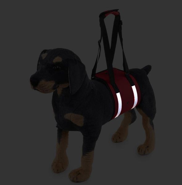 

pet dogs waist belts for protection dogs protective straps safe leashes for outdoor assist oxford material