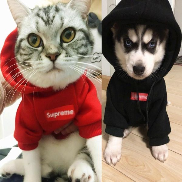 

pet tide brand dog clothes fashion plus velvet jacket with cap letters printed dog coat new factory direct sales