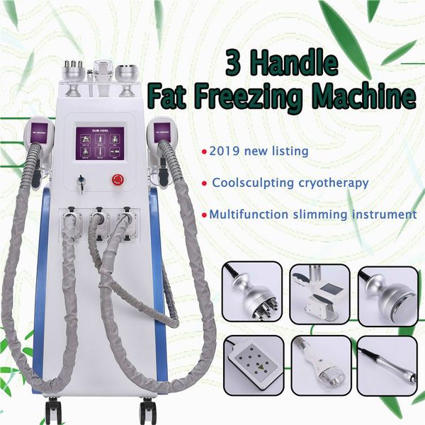 

2020 мђлиђнкионалнй 3 Ѭђкоки иема олаждени веѬикална cryolipolysis жиѬа 