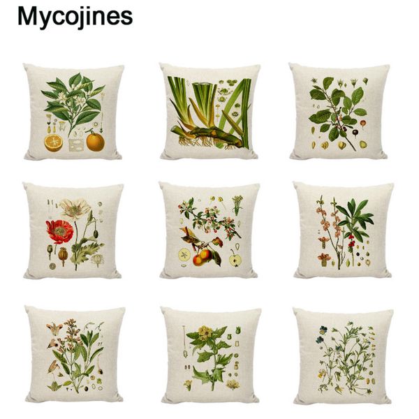 

cushion cover herb linen cotton hazelnuts acorn poppies rue seed throw pillow case home decor chinese herbal medicine pillowcase