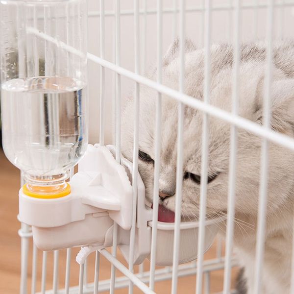 

cat water dispenser pet water feeder installed water bowl for cat dog