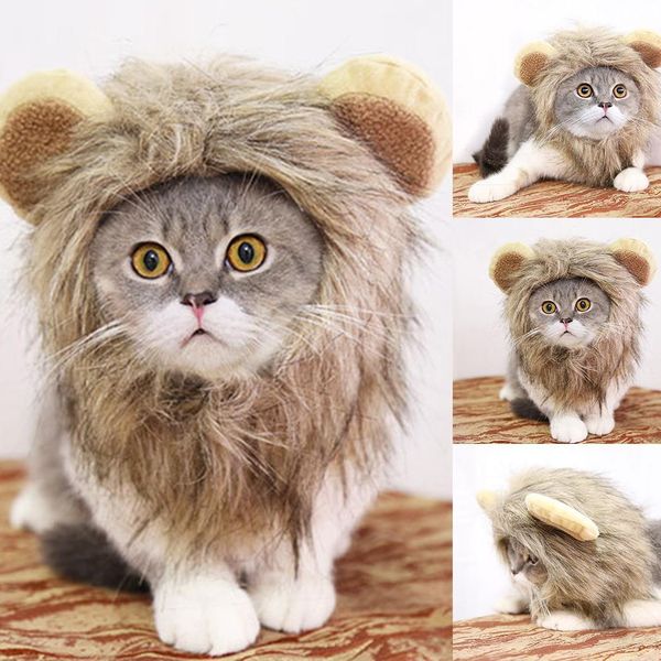 Acheter Mode Chapeau De Chien De Lion De Forme De Lion Couverture De Tête Petit Chapeau De Chat Morph Chapeau Nouvelle Mode Produits Ménagers De 255