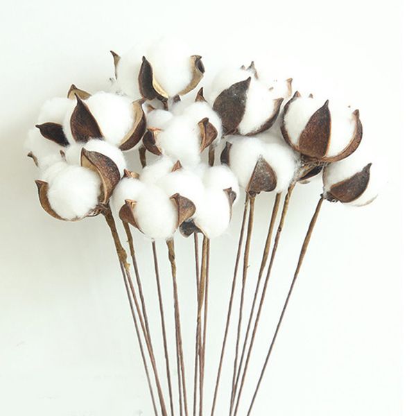 

dry flower dried cotton diy naturally stems house decorative dried white cotton branch artificial flower head 10pcs