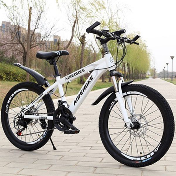 

student bicycle 24-speed two-disc brake absorber 22-inch mountain bike