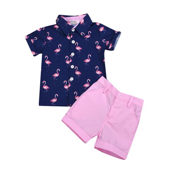 

2019 children summer clothing 2pcs set toddler kid baby boy clothes set flamingo t-shirt+shorts pants outfits short sleeve clothes 1-6t, White