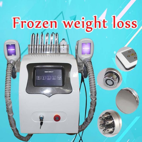 

professional cryolipolysis cool body sculpting lipo e fat e body slimming machine with 2 cryo handles
