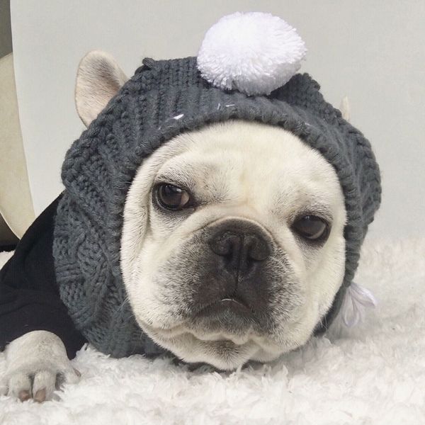 

winter early spring dog accessories woolen puppy hat with ball warm pet hat for small dog christmas knitted wool cap