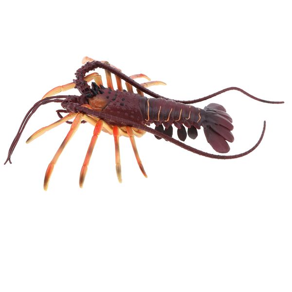 

15 inch spiny lobster model marine action figure, science educational toy for kids, collectible home decor