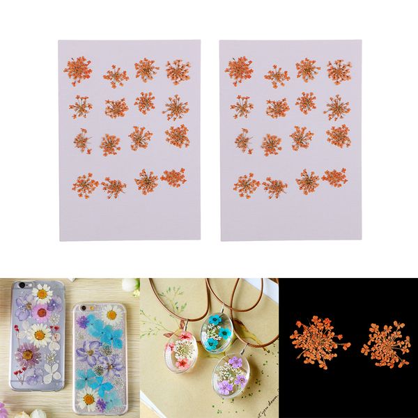 

32x dried pressed flowers diy embossed p frame phone case craft