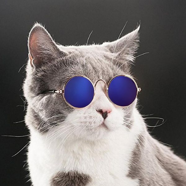 

hoomall lovely pet cat очки очки для собак зоотовары для маленькой собаки cat eye-wear солнцезащитные очки для собак фотографии товары для д