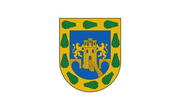 

150cm*90cm mexico flag mexican federal district copy flag banner 3*5ft polyester custom decorative hanging home flag for decoration