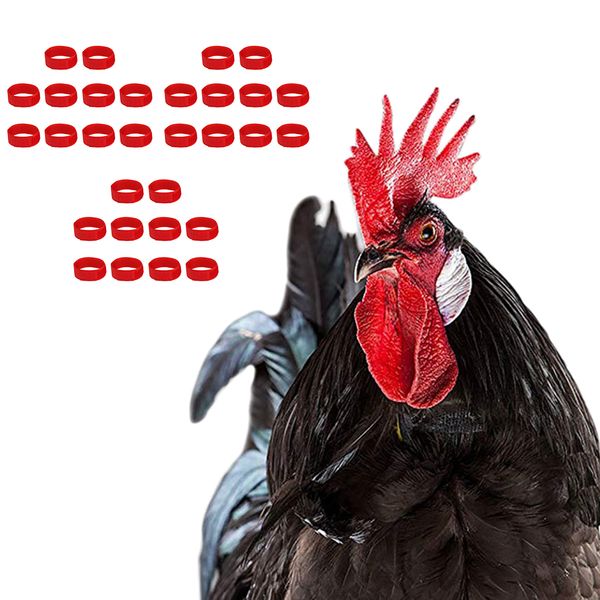 

15 pcs chicken collar anti crow rooster collar for poultry chicken duck red