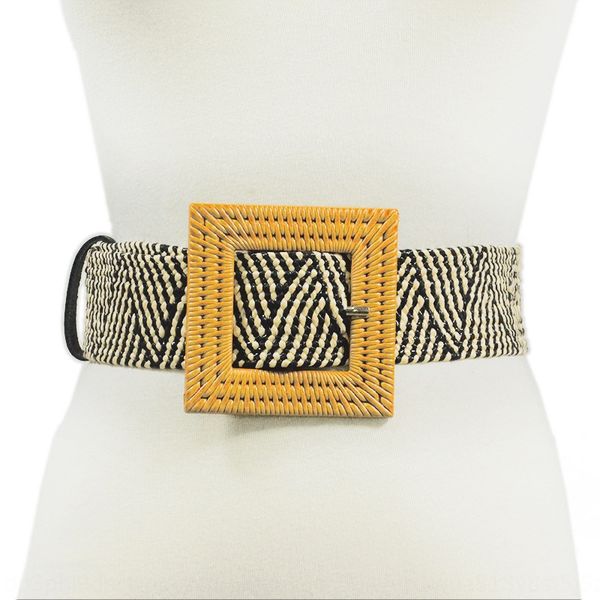 

women's plaid canvas belt band canvas elastic band women's all-match square buckle elastic belt belt, Black;brown