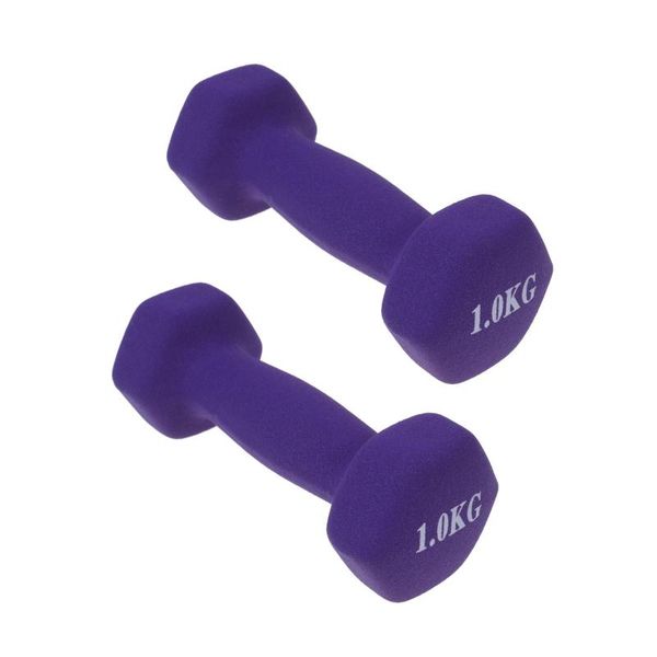 

one pair exercise dumbbells frosted dumbbells lady barbells hand bar for yoga fitness lose weight random color