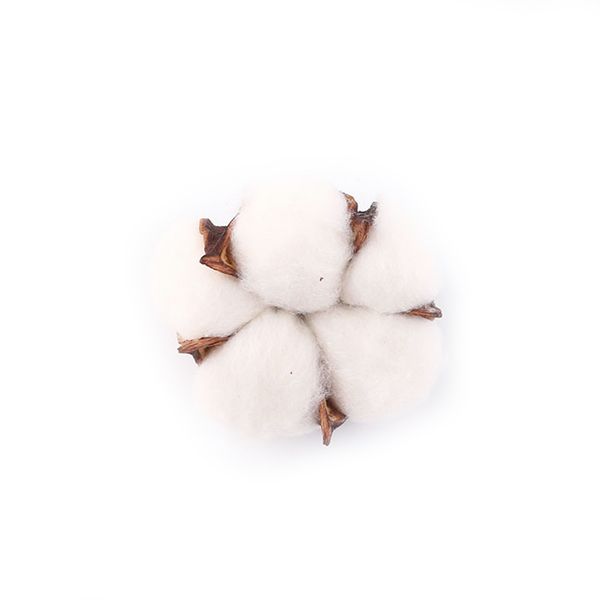 

6pcs natural cotton head artificial flower natural dried flower cotton home christmas supplies decor diy garland wreath w