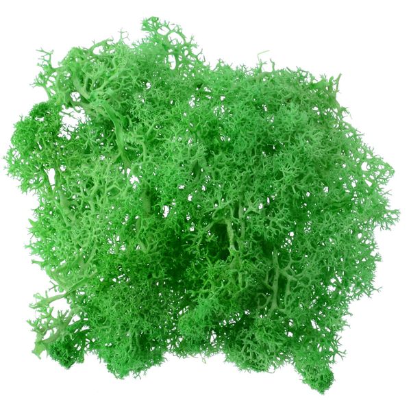 

1pc 10g solid color artificial reindeer moss dried craft plant fake plant for flower garland garden home party decoration