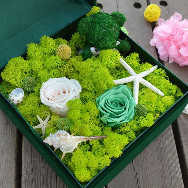 

20g artificial green plant immortal fake flower moss grass home living room decorative wall diy flower mini accessories