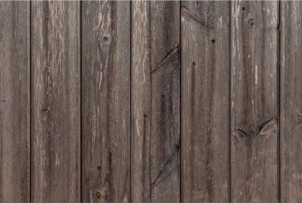 

pgraphy backdrops custom portrait cloth digital printed p props p studio background hcjt-92