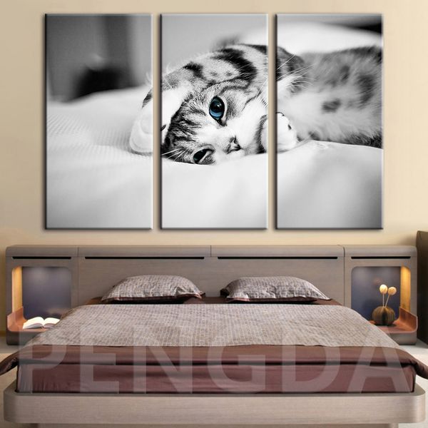 

canvas painting wall art hd prints poster home decor black and white cat animal modern for living room modular pictures framed