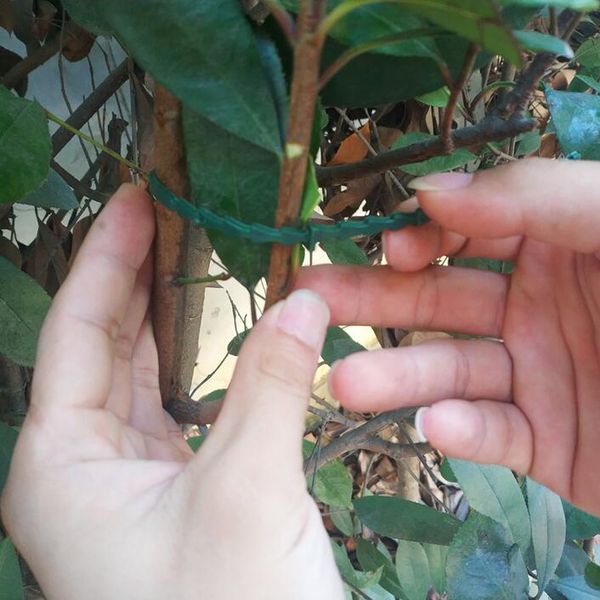 

30/50pcs adjustable garden bonsai twist wire string tie plant support strap,portable multi-function