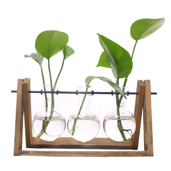 

plant terrarium with wooden stand glass vase holder for home decoration,scindapsus container (3 terrariums