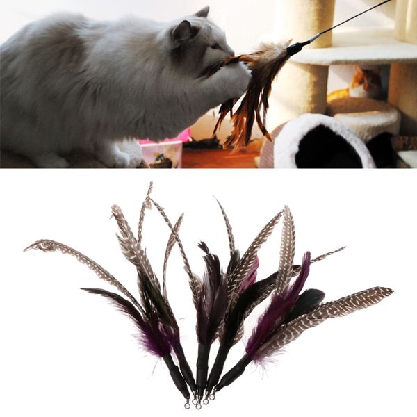 

5шт handmade природного перо cat toy da bird refills interactive тизер палочка