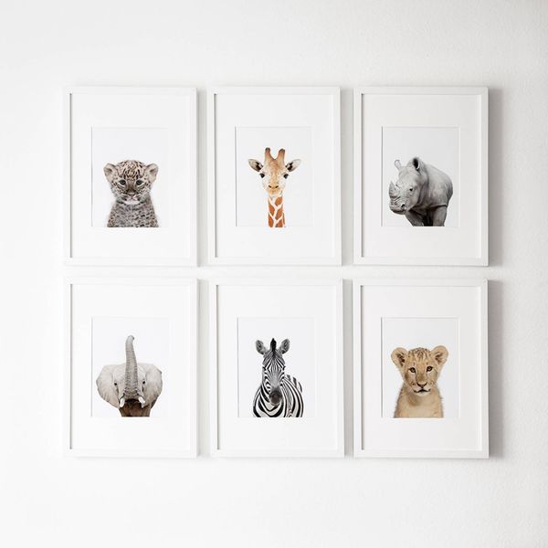 

nursery decoration modern safari canvas art painting pictures wild animals pgraphy posters print baby room wall art decor