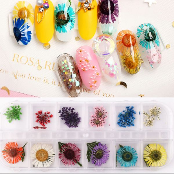 

real dried pressed flowers nail gel art decorative set babysbreath flower manicure debate nail professional art kids with case, Silver;gold