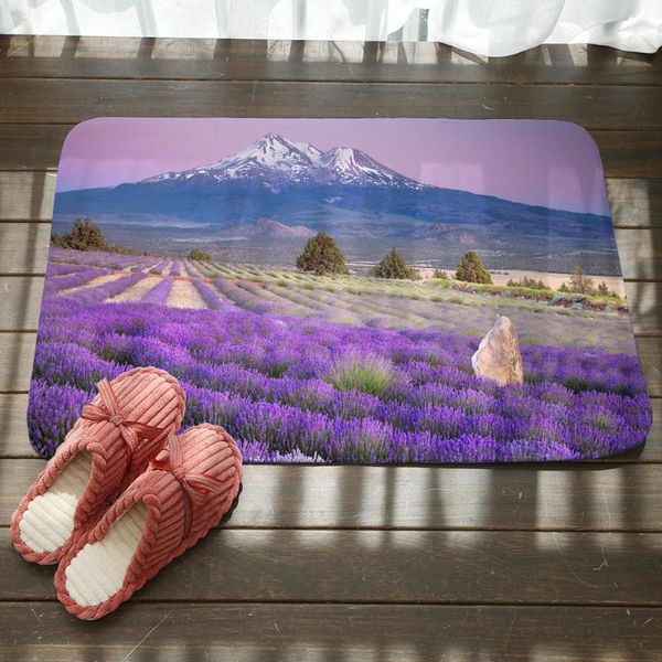 

living room door anti-slip vacuuming mat art landscape scenery printed bathroom doorway mat