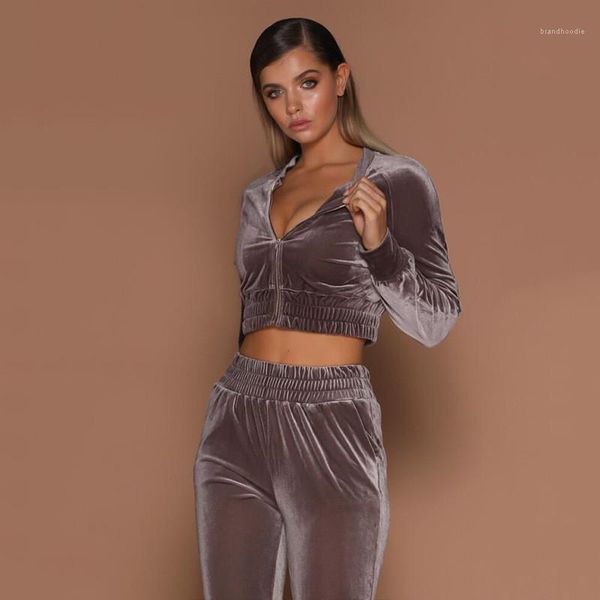 

womens designer pleuche tracksuits fashion long sleeve short long pencil pants casual womens 2pcs sets, Gray