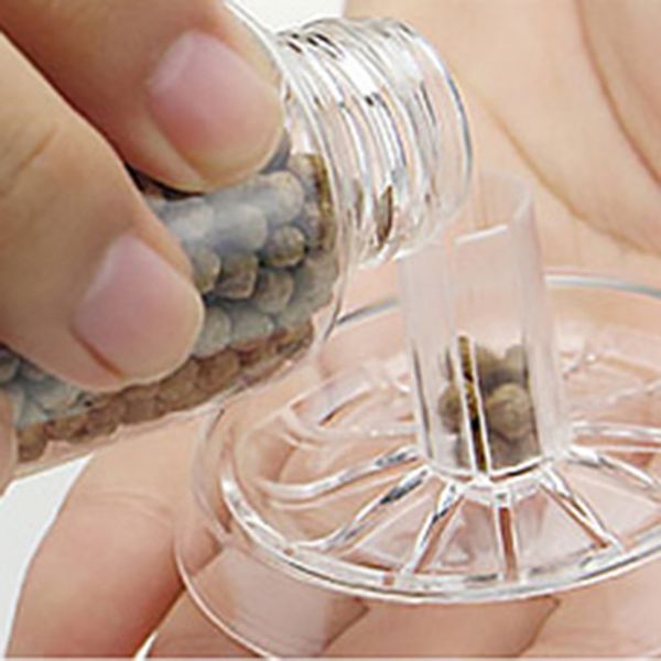 

прозрачный аквариум leech улитки trap главная огородничества улитки catcher убийца насекомых улитки trap house box дезинсекция другой сад s