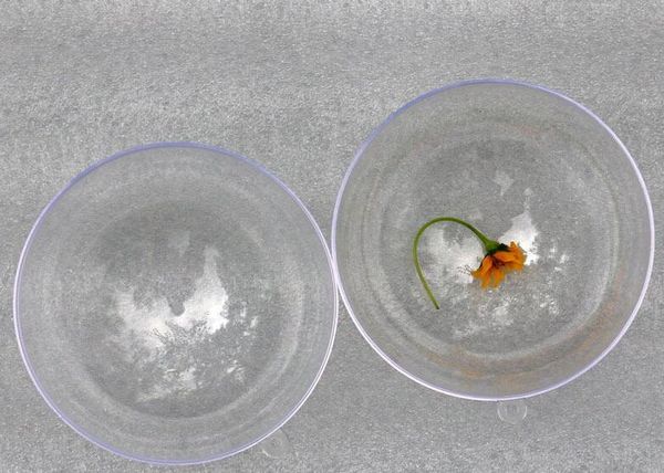 

9cm diameter plastic transparent ball christmas decoration ball candy balls gift box