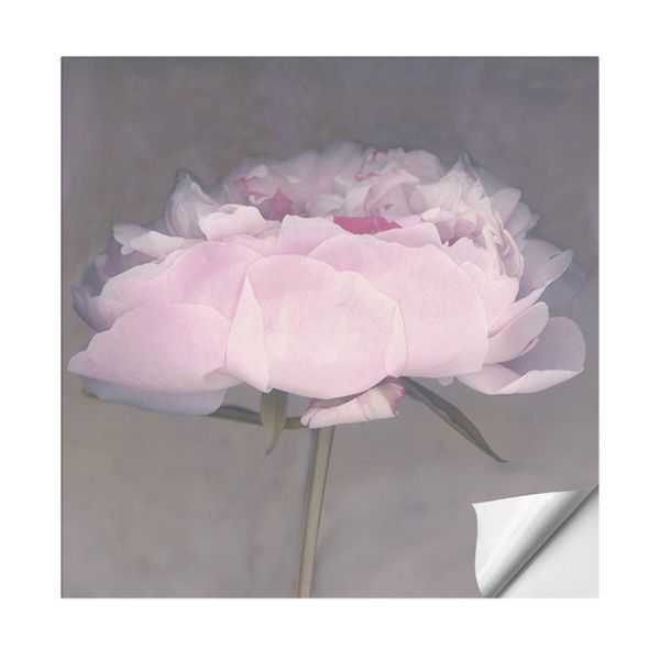 

wall sticker plant flower living room bedroom restaurant wall sticker