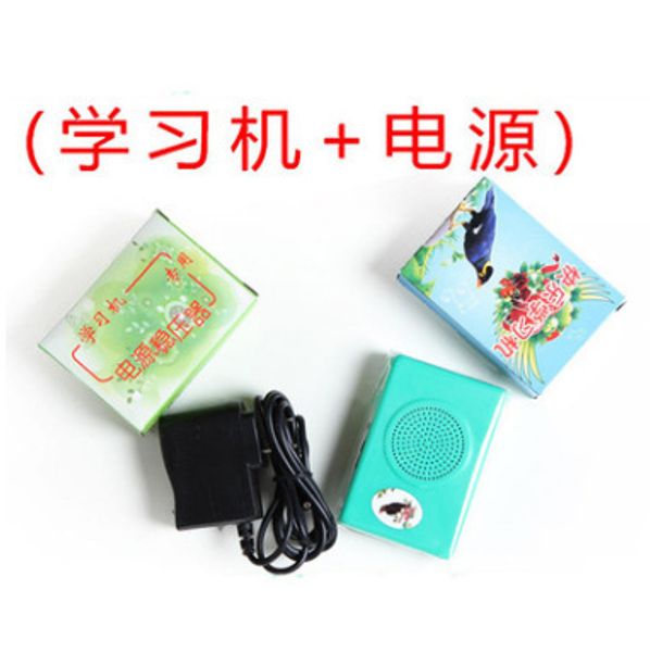 

bird articles happy learning machine study speak myna the wren parrot study phone study telephone set
