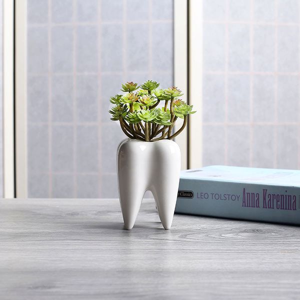 2020 Indoor Small Ceramic Flower Pot Succulent Planter Cute