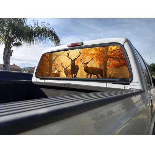 

deer buck in autumn fall rear window graphic decal truck