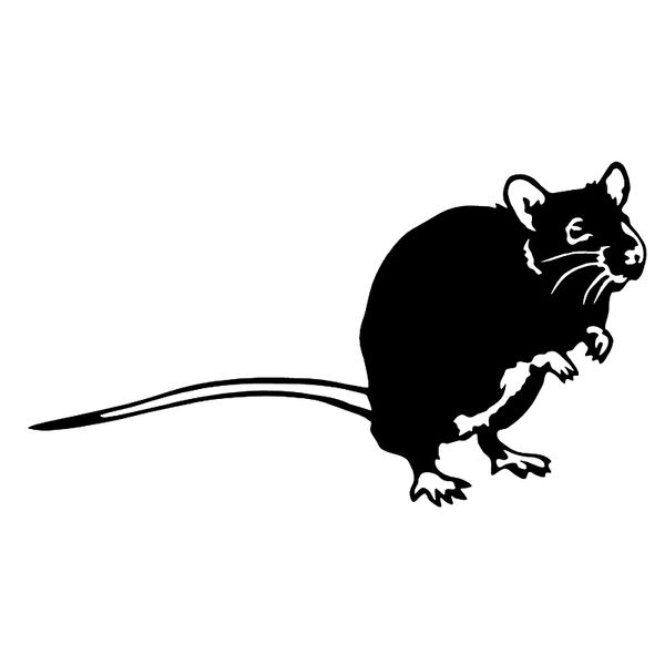 

16*8.9cm cute and interesting rat vinyl decal sticker funny car window bumper novelty jdm drift vinyl decal sticker