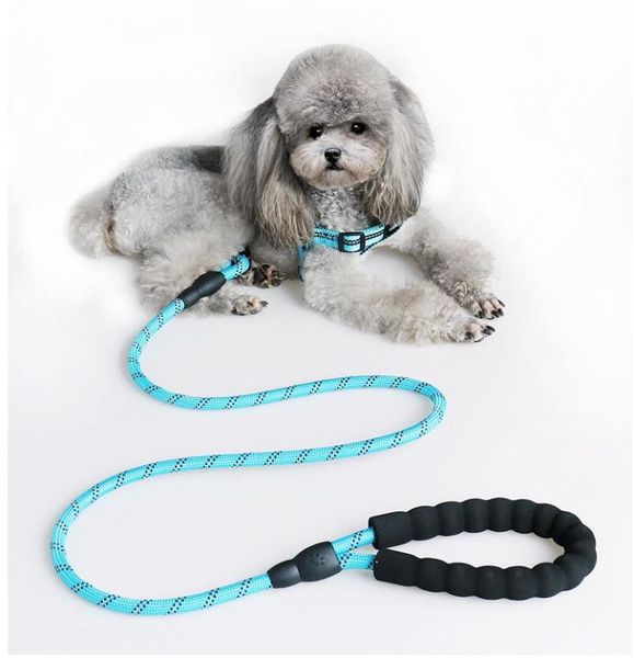

150cm round dog leash nylon dogs walking lead rope pet long leashes belt for dog outdoor walking training pet leads belt, Pink;blue