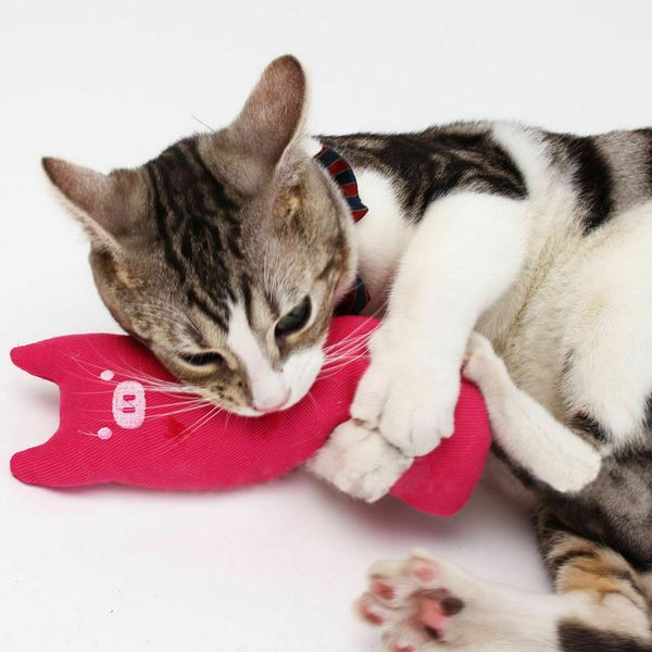 

популярные pet dog cat смешные руно долговечность плюша собаки игрушки писк жуйте звуковой игрушки, пригодный для всех домашних животных плю
