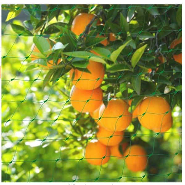 

анти птица чистый сад orchard полиэтиленовые анти bird net другое для дома и сада