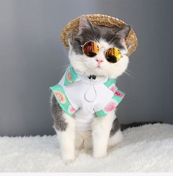 

cat sunglasses little dog glasses cat glasses ps props dog cat accessories pet supplies pet clothing decoration