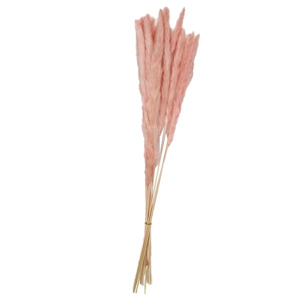 

15pcs natural dried flowers small pampas grass phragmites artificial flowers plants for decor home decoration