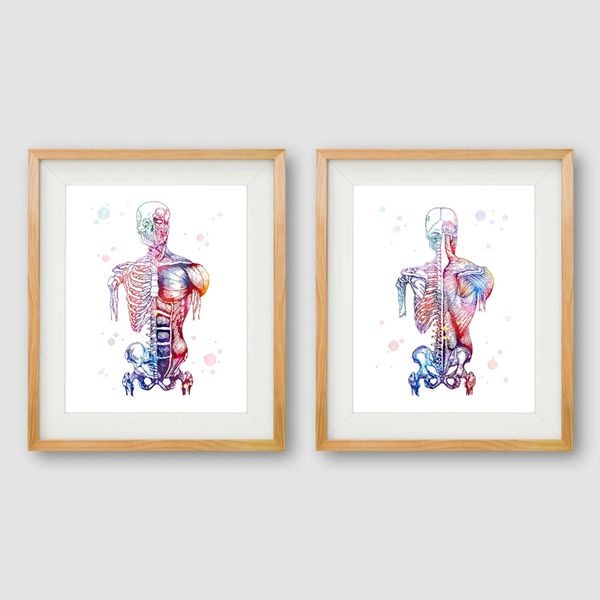 

human muscles canvas art print and poster watercolor muscular system skeleton anatomy painting body art medical print wall decor